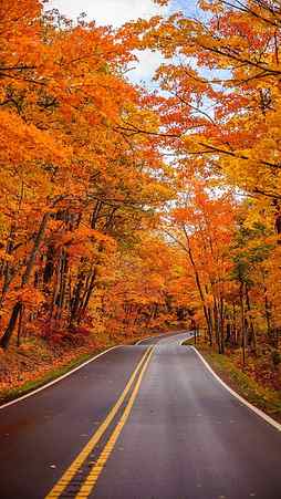 Autumn, fall, road, HD phone wallpaper