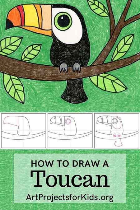 Learn how to Draw a Toucan