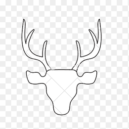 Reindeer Vertebrate Antler Horn, deer head, antler, white png thumbnail