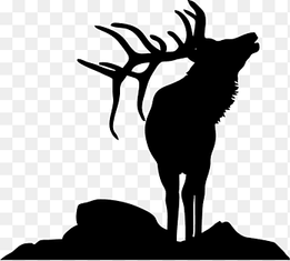 Elk Deer Silhouette Moose, deer head, antler, mammal png thumbnail