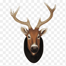Reindeer White-tailed deer Elk Animal, deer head, antler, animals png thumbnail