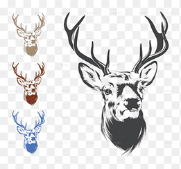 Deer Drawing, Deer Head, antler, cdr png thumbnail