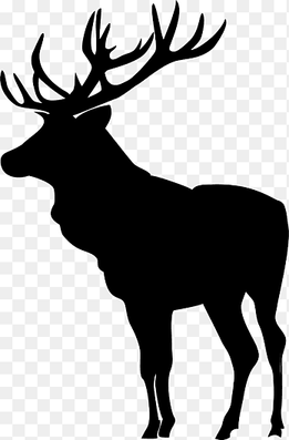 Elk Deer Moose Silhouette, deer head, antler, animals png thumbnail