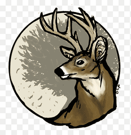 White-tailed deer Reindeer Desktop, deer head, antler, mammal png thumbnail