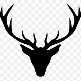 Reindeer Antler Elk Red deer, deer head, template, antler png thumbnail