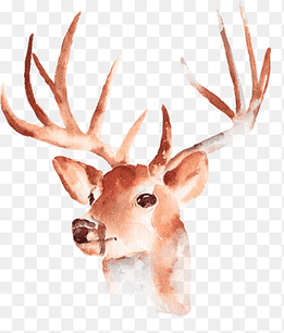 deer head, decoration, christmas png thumbnail