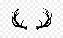 Reindeer White-tailed deer Moose Elk, deer head, antler, white png thumbnail