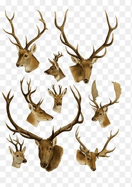 Vintage AnimalHeads 4, brown deer head, png thumbnail