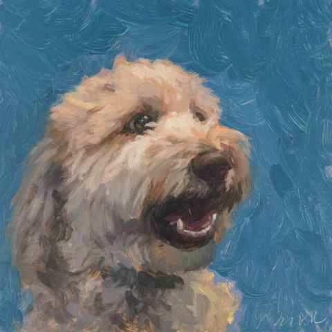 Bentley, oil painting of a goldendoodle by Jeffrey Smith