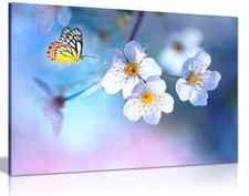 Beautiful Butterfly White Flowers Canvas Wall Art Picture Print