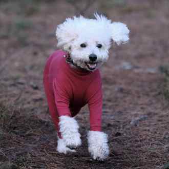 Summer Suit, Raspberry Red