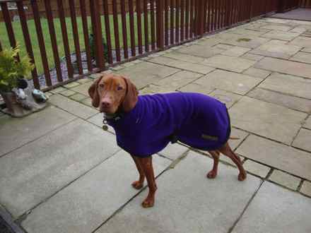 Polo Neck Coat, Dark Purple