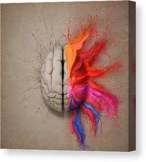 Creative Canvas Prints