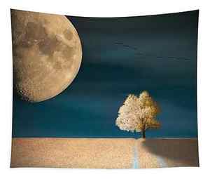 Creative Tapestries