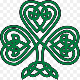 Shamrock Celts Celtic knot Clover, Shamrocks, leaf, plant Stem, flower png thumbnail