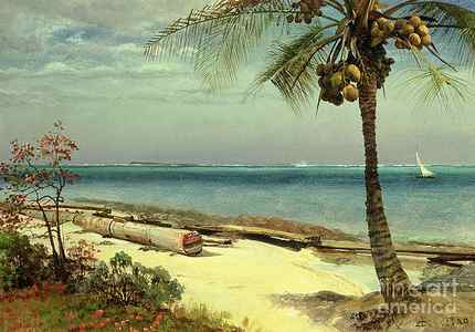 Wall Art - Painting - Tropical Coast by Albert Bierstadt