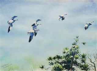 American School, Geese at Assateague Island: American, 20th century watercolor on paper depicting five geese flying past the top of a pine tree, signed illegibly l.l., 13 3/4