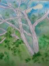 the was layer for watercolor tree painting