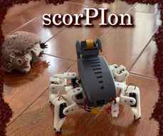 Cute Mechanical ScorPIon Robot