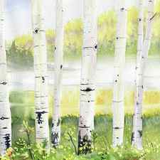 Behind The Birch Trees by Melly Terpening