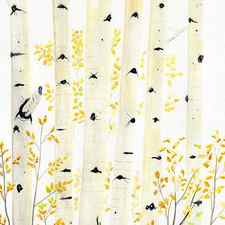 Birch Trees by Melly Terpening