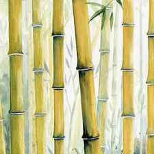 Bamboo Trees by Melly Terpening