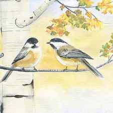 Chickadee and Birch Tree by Melly Terpening