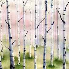 Misty Birch Tree Forest by Melly Terpening