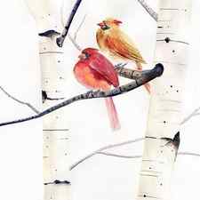 Cardinals and Birch Trees by Melly Terpening