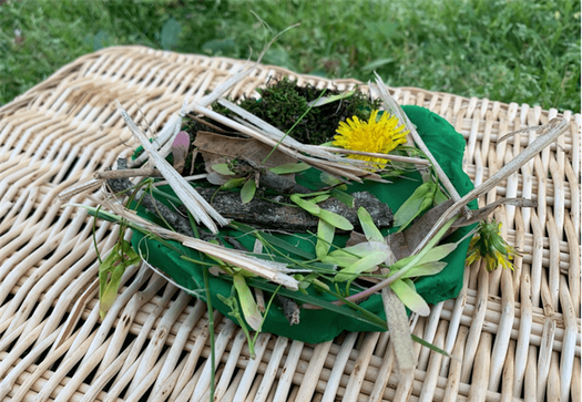 bird nest kid-friendly craft activity