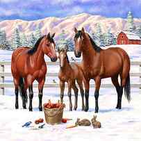 Bay Quarter Horses In Snow by Crista Forest