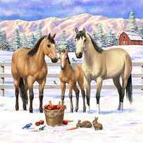 Buckskin Quarter Horses In Snow by Crista Forest