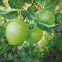 Green Apples by Susan N Jarvis