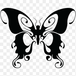 Butterfly Drawing Black and white, butterfly, white, brush Footed Butterfly png thumbnail