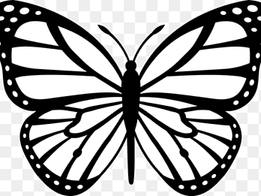 white and black butterfly, Monarch butterfly Black and white Drawing, Butterfly Drawings, white, leaf png thumbnail