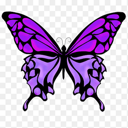 Monarch butterfly Drawing Color, butterfly, purple, blue png thumbnail