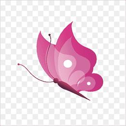 Butterfly Insect Drawing, Pink Butterfly, purple, leaf png thumbnail