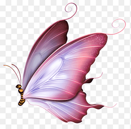 Butterfly Drawing Borboleta, butterfly, purple, violet png thumbnail