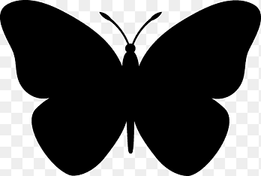 Butterfly Drawing, butterfly, white, leaf png thumbnail