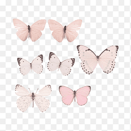 Butterfly Pastel Drawing Paper, butterfly, blue, aesthetics png thumbnail