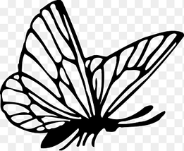 Butterfly Drawing, butterfly, leaf, brush Footed Butterfly png thumbnail