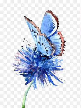 blue butterfly, Butterfly Painting Blue Flower Drawing, Hand-painted background blue butterfly, watercolor Painting, blue png thumbnail