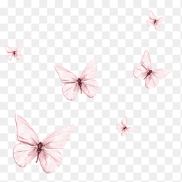 pink butterflies illustration, Butterfly Drawing, butterfly, floating, white png thumbnail