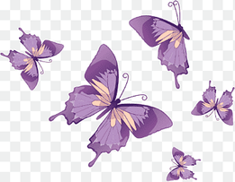 Monarch butterfly Drawing, butterfly, purple, brush Footed Butterfly png thumbnail