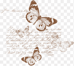 Paper Scrapbooking Drawing Butterfly, vintage, brush Footed Butterfly, textile png thumbnail