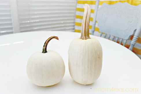 White-pumpkins