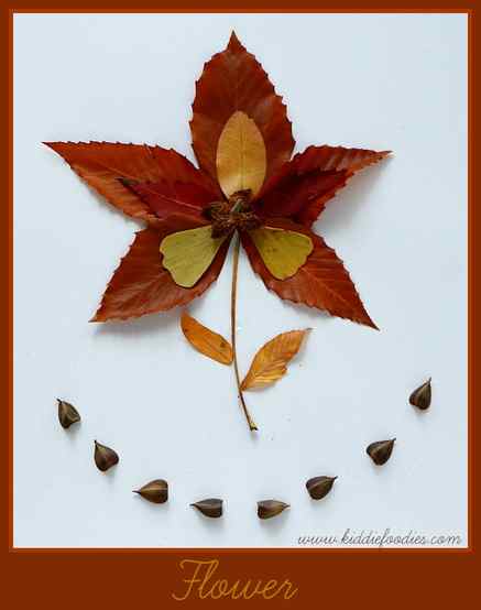 Fall crafts - how to create pictured with leaves -Flower