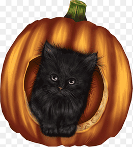 Whiskers Halloween Domestic short-haired cat Pumpkin, Halloween, cat Like Mammal, holidays png thumbnail