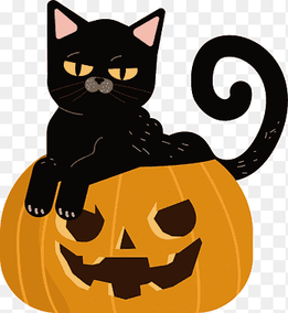 The cat sitting in the pumpkin, mammal, cat Like Mammal png thumbnail