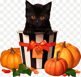 black cat halloween pumpkin, halloween, black cat png thumbnail